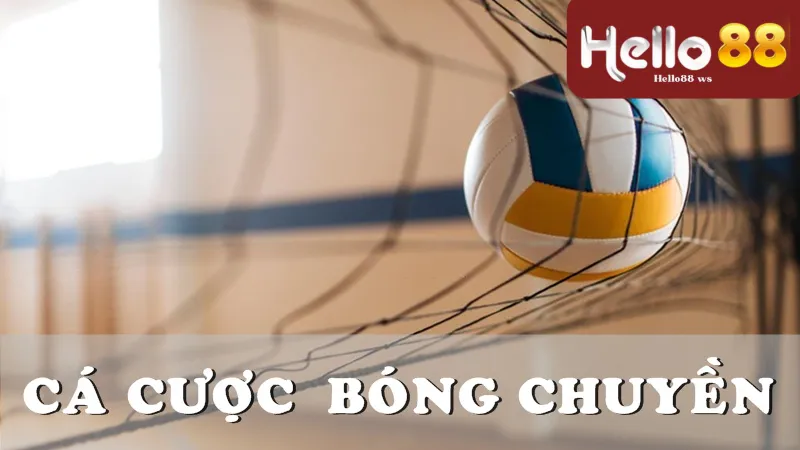 Những điểm nổi bật trong trải nghiệm bóng chuyền online