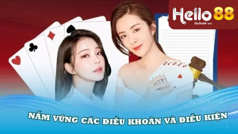 Các điều khoản quan trọng cần lưu ý
